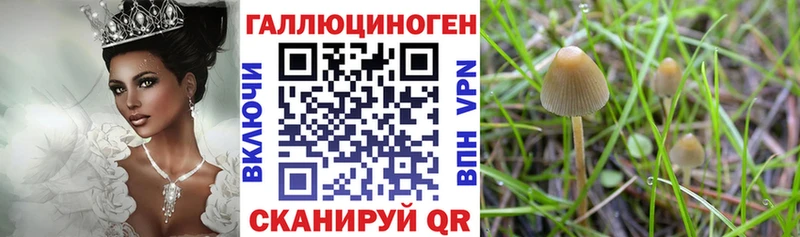 Псилоцибиновые грибы MAGIC MUSHROOMS  Кемерово 